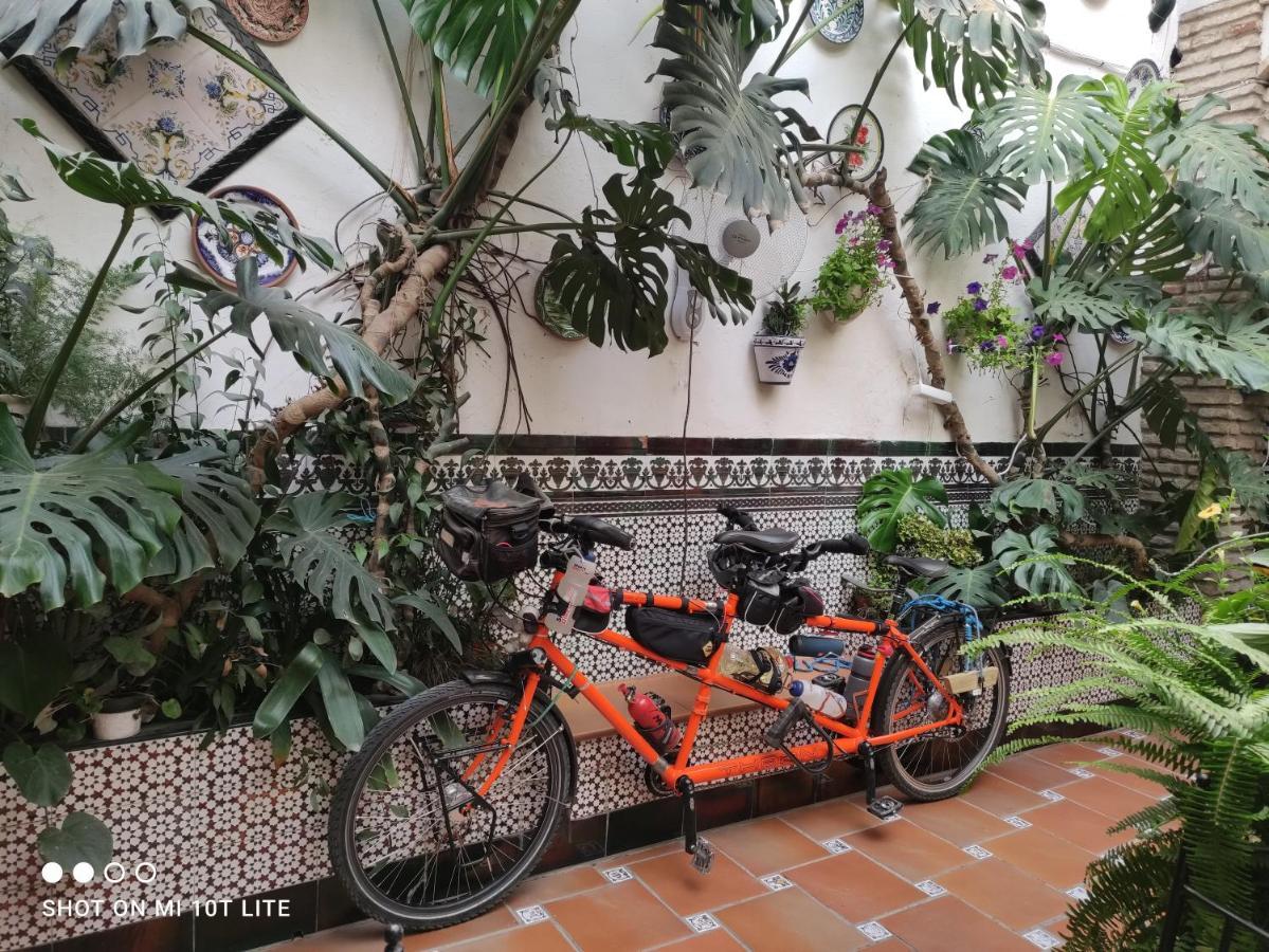 Pension Los Arcos กอร์โดบา ภายนอก รูปภาพ