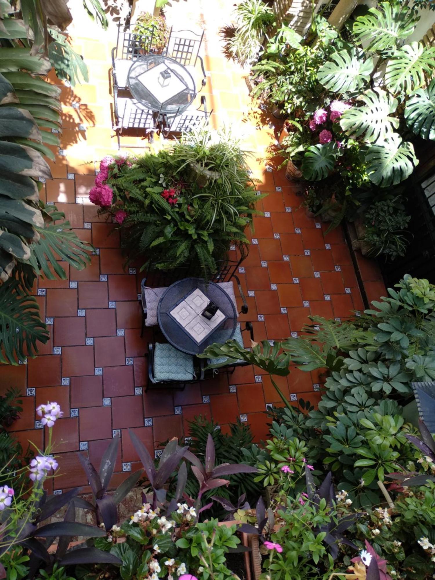 Pension Los Arcos กอร์โดบา ภายนอก รูปภาพ