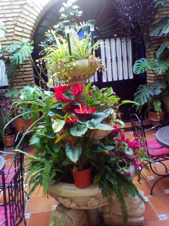 Pension Los Arcos กอร์โดบา ภายนอก รูปภาพ