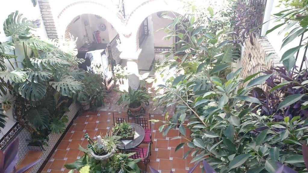 Pension Los Arcos กอร์โดบา ภายนอก รูปภาพ