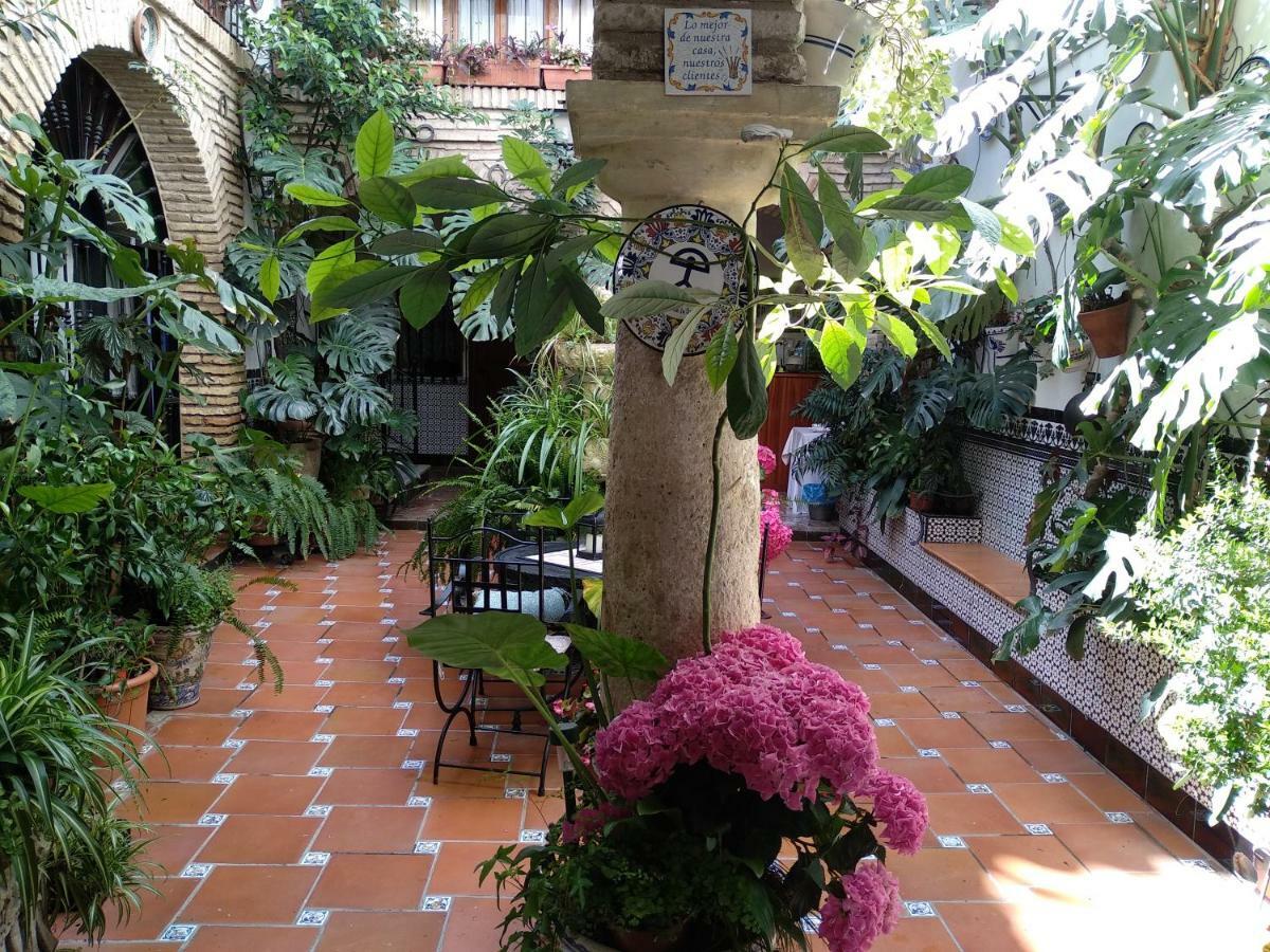Pension Los Arcos กอร์โดบา ภายนอก รูปภาพ