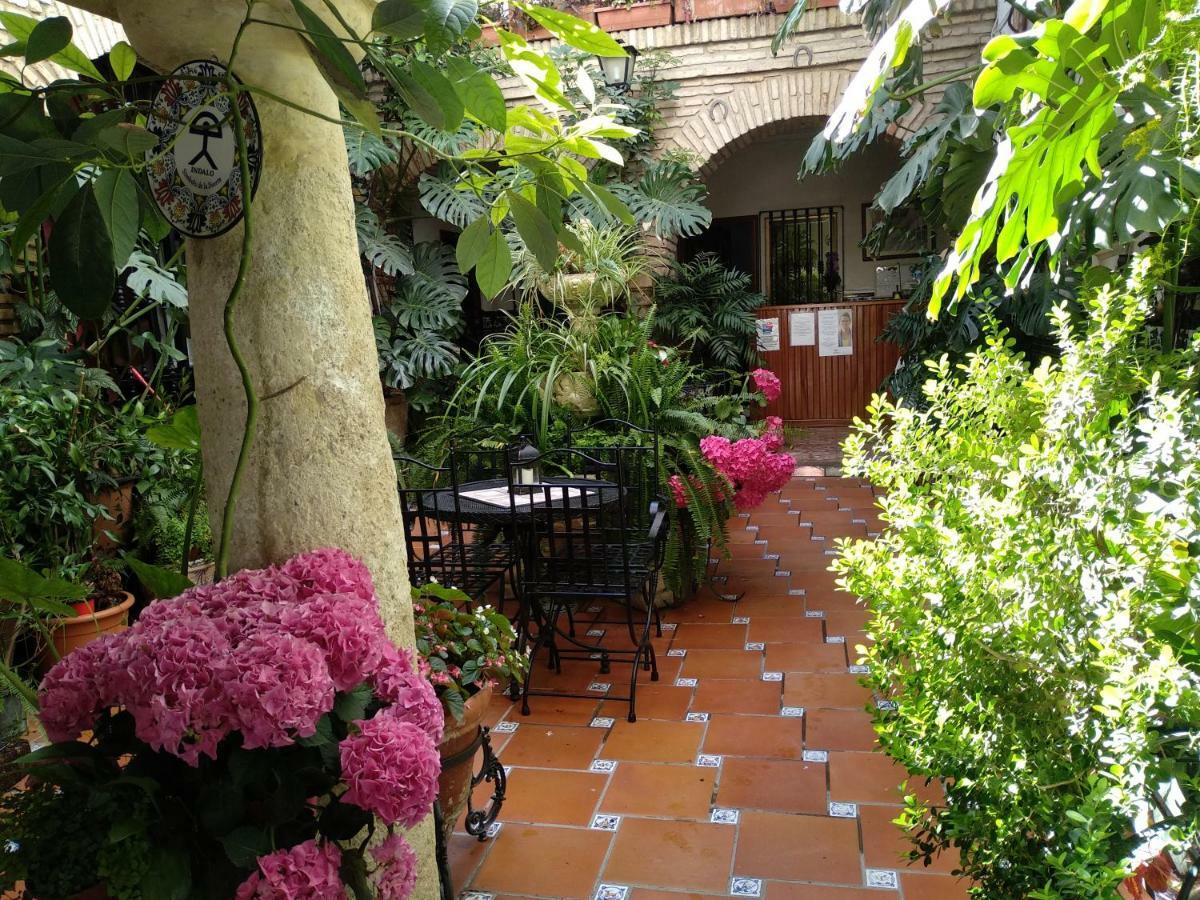 Pension Los Arcos กอร์โดบา ภายนอก รูปภาพ