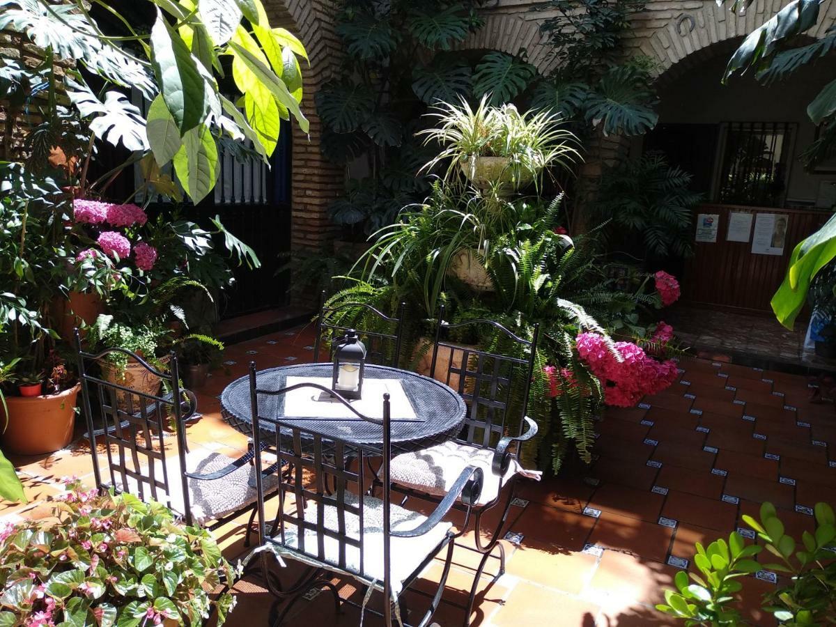 Pension Los Arcos กอร์โดบา ภายนอก รูปภาพ