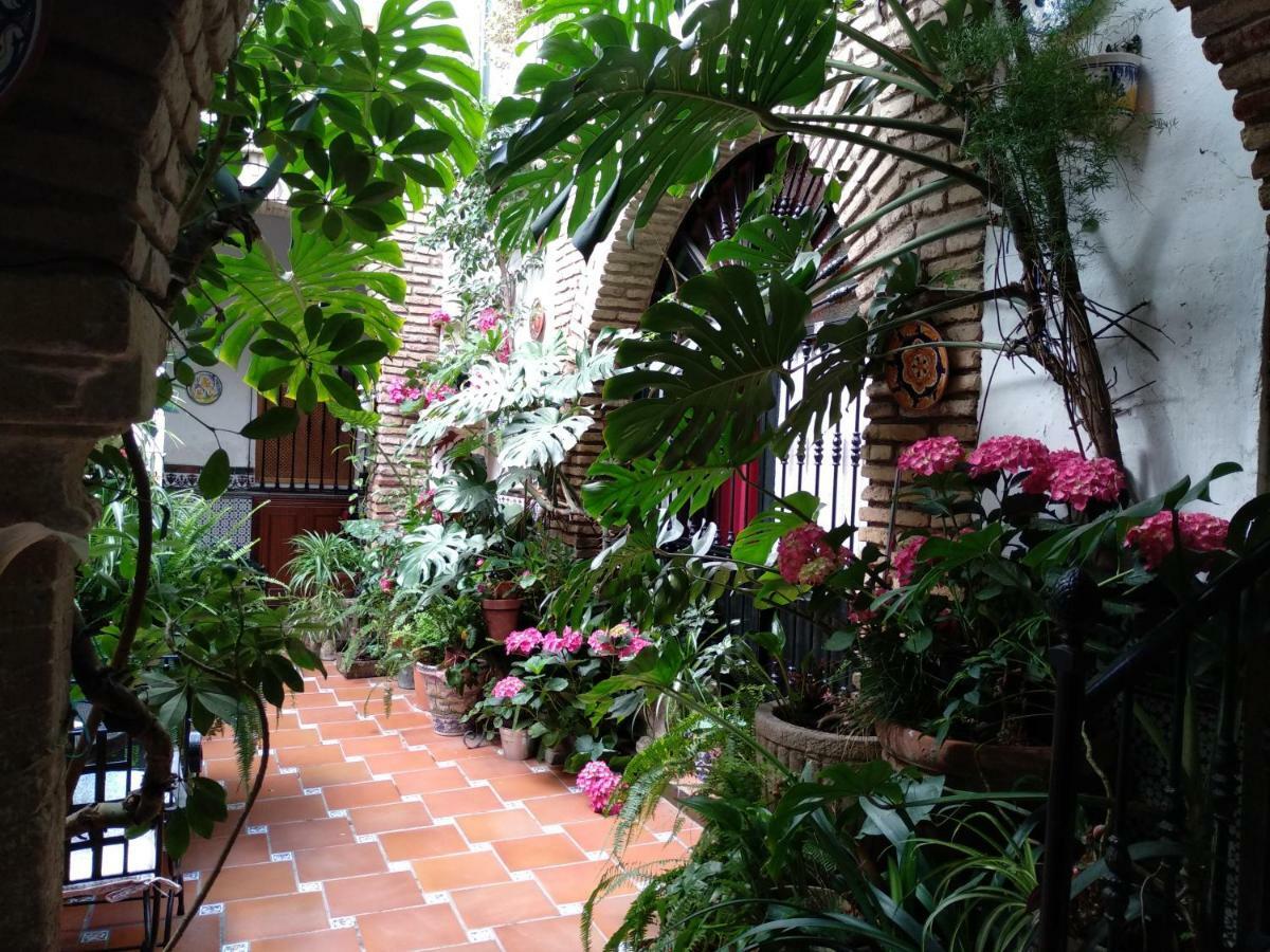 Pension Los Arcos กอร์โดบา ภายนอก รูปภาพ